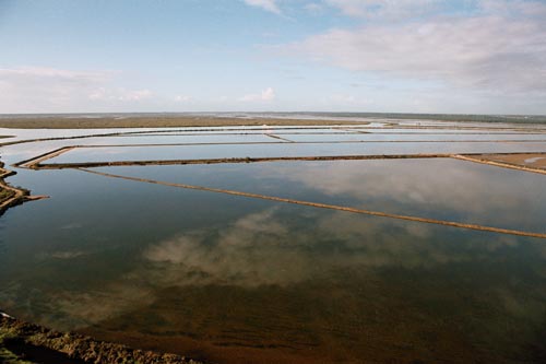 marismas del odiel