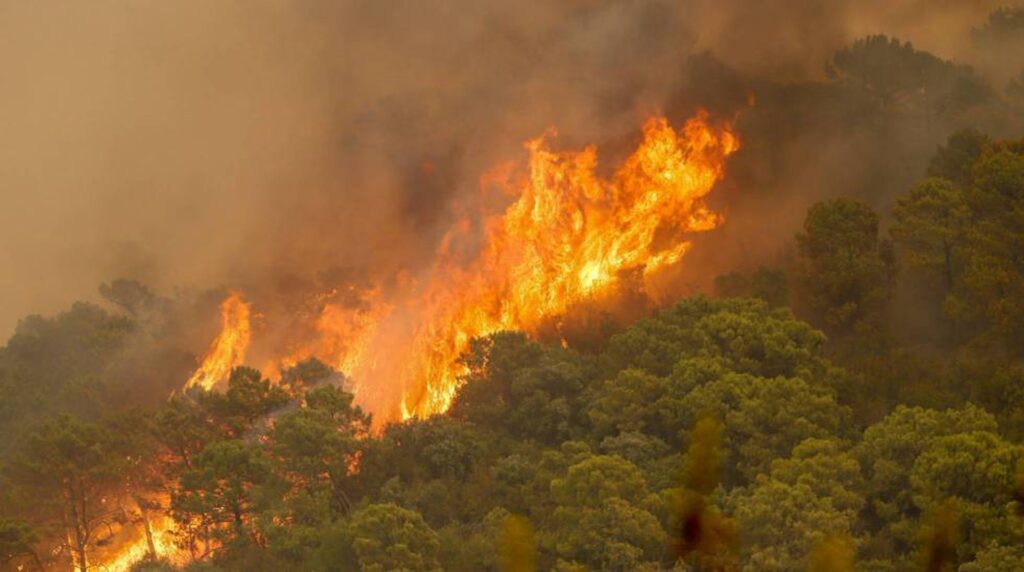 incendio sb