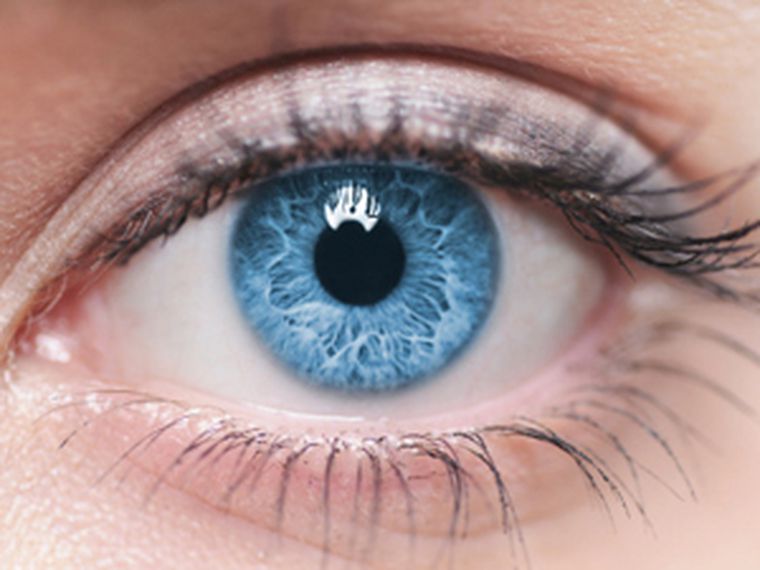 ojo