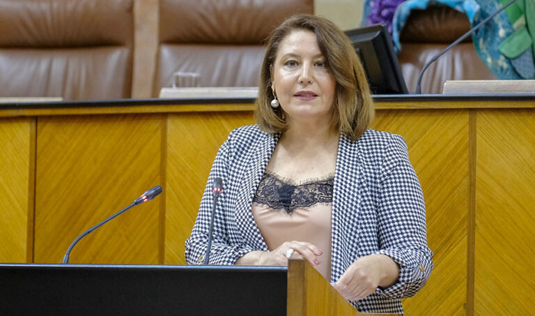 carmen crespo parlamento