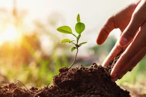 dia mundial del medio ambiente