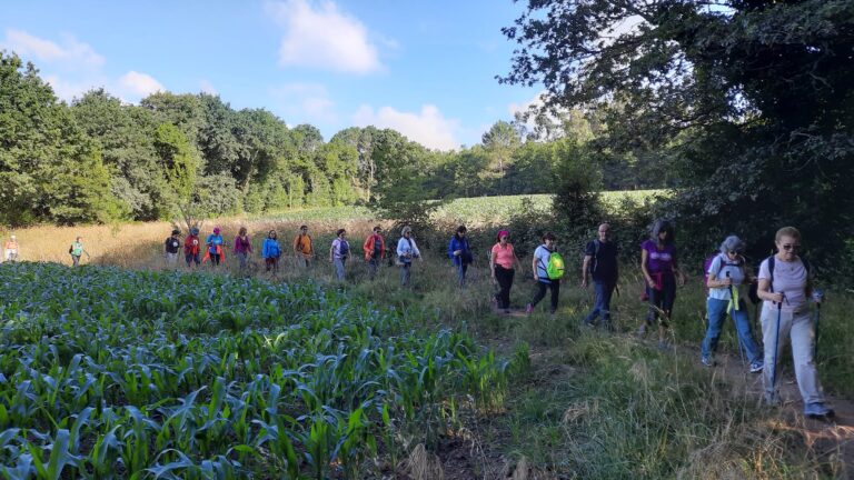 chicas rosas valme uno