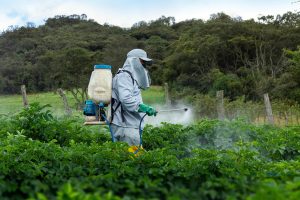 pesticidas