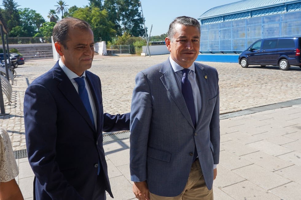 mellado y sanz