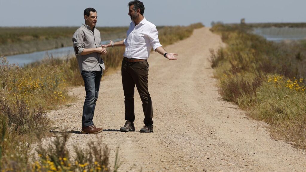 moreno y pacheco