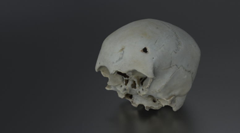 Cráneo humano hallado en Delta II